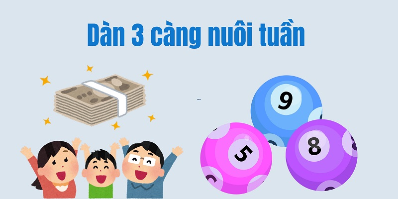 Dàn 3 càng nuôi tuần