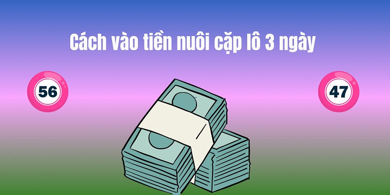 Cách vào tiền nuôi lô cặp 3 ngày